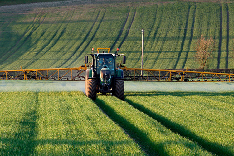 Pegels Aktuelles - Düngerübersicht 2020