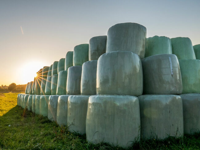 Pegels-Gruppe Landhandel Landwirtschaftliche Bedarfsartikel Vorschaubild