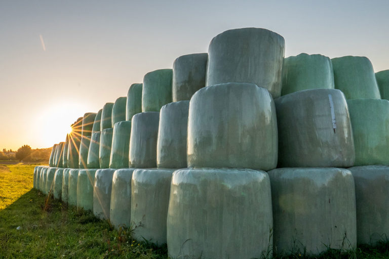 Pegels-Gruppe Landhandel Landwirtschaftliche Bedarfsartikel Vorschaubild